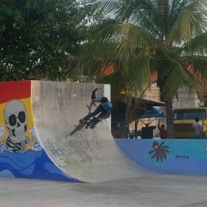   XHHZ2019 SK8