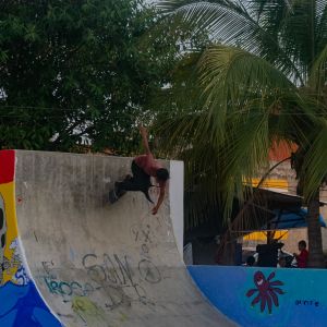   XHHZ2019 SK8